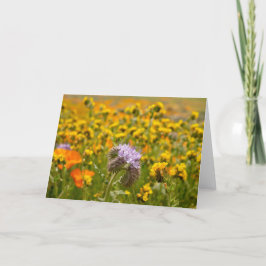 ワイルドフラワー開花 カード