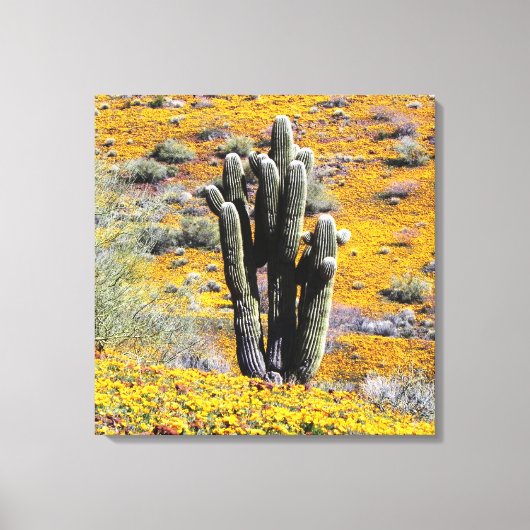 ワイルドフラワー開花 キャンバスプリント (正面)