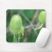 ワイルドフラワー2 マウスパッド (マウス)