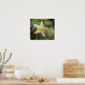 ワイルドフラワー4 ポスター (キッチン)