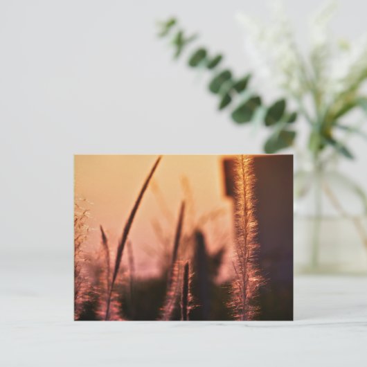 ワイルドフラワー – はがき (スタンド正面)