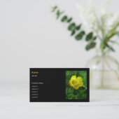 ワイルドフラワー – バターカップ 名刺 (スタンド正面)