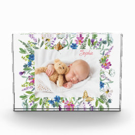 ワイルドフラワー ボーダー フォト