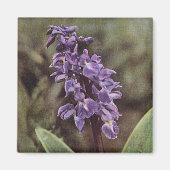 ワイルドフラワー：初紫の蘭 マグネット (正面)