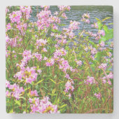 ワイルドフラワー、川、ピンク、フローラ ストーンコースター (正面)