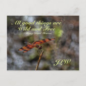 ワイルドフリー引用文ゴールデントンフライ写真 ポストカード (正面)