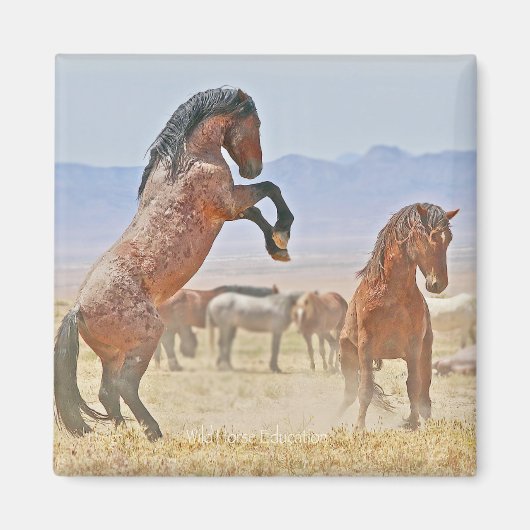 ワイルドフリー磁石 マグネット (正面)