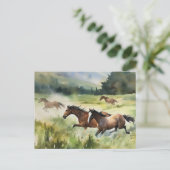 ワイルドフリー馬はがき ポストカード (スタンド正面)