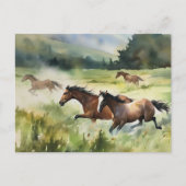 ワイルドフリー馬はがき ポストカード (正面)