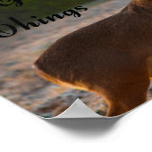 ワイルドフリー、ソロー ポスター (角)