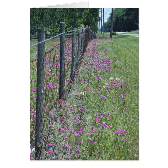 ワイルドフロックスカード (正面)