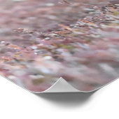 ワイルドブラックグロウース ポスター (角)