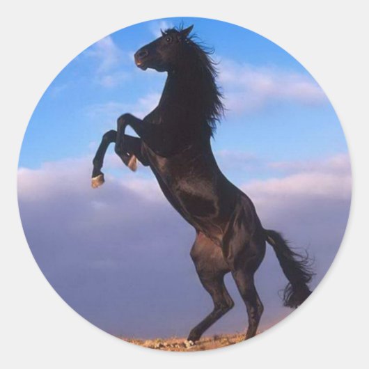 ワイルドブラックスタリオン飼育馬 ラウンドシール (正面)