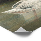 ワイルドブラックネックスワンファミリーヴィンテージアート ポスター (角)