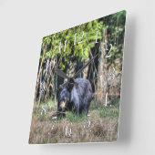 ワイルドブラックベアーカブ&フォレスト野生生物写真時計 スクエア壁時計 (傾斜)
