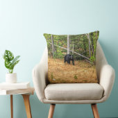 ワイルドブラックベア&ユーコンフォレストフォトアート クッション (椅子)