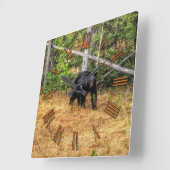 ワイルドブラックベア&ユーコンフォレストフォトアート スクエア壁時計 (傾斜)