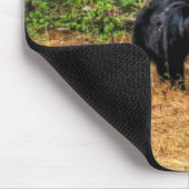 ワイルドブラックベア&ユーコンフォレストフォトアート マウスパッド (コーナー)