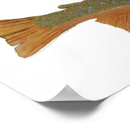 ワイルドブルクマス ポスター (角)