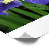 ワイルドブルーアイリスプリント ポスター (角)