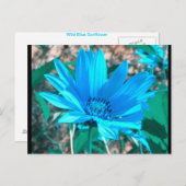 ワイルドブルーサンフラワーポストカード ポストカード (正面/裏面)