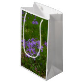 ワイルドブルーフロックス スモールペーパーバッグ (正面アングル)