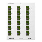 ワイルドブルーフロックス ラベル (フルシート)