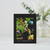 ワイルドブルーベリー ポストカード (スタンド正面)