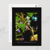 ワイルドブルーベリー ポストカード (正面/裏面)