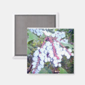 ワイルドブルーベリー マグネット (正面/裏面)