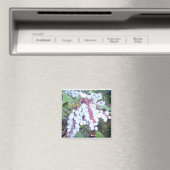 ワイルドブルーベリー マグネット (インサイチュ (食洗機))