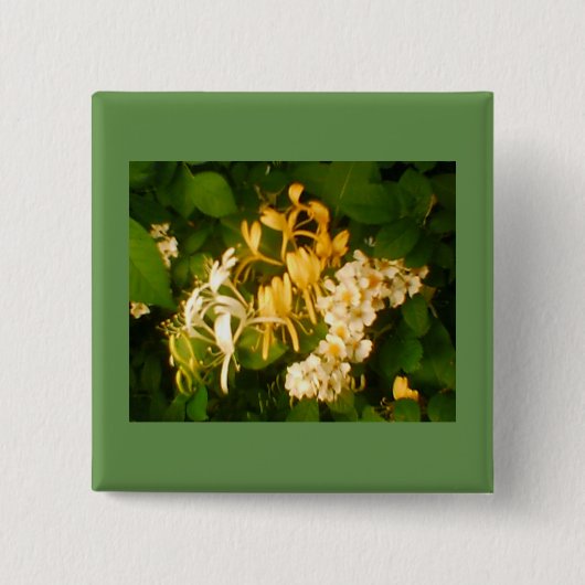 ワイルドブルーミングバラハニーサックルボタン 缶バッジ (正面)