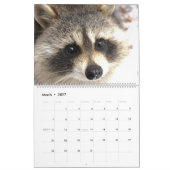 ワイルドブルーヨンダーアライグマの2019 カレンダー (3月 2027)