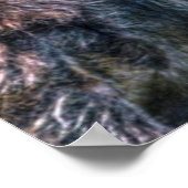 ワイルドプレインズバッファローワイルドライフアート ポスター (角)