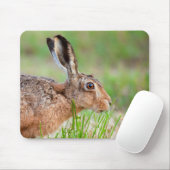 ワイルドヘア食べはイギリスの草を閉じる マウスパッド (マウス)