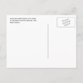 ワイルドベイホース。セオドアルーズベルト国立公園 ポストカード (裏面)