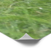 ワイルドベイホース ポスター (角)