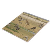 ワイルドベスト、シマウマ、ギラフェス タイル (側面)