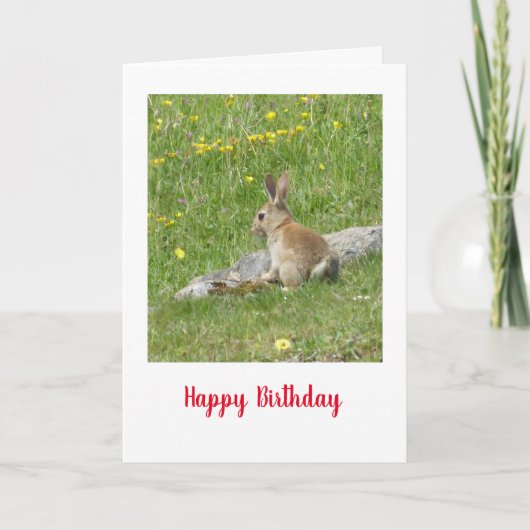 ワイルドベビーウサギ誕生日カード カード (正面)