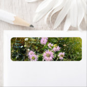 ワイルドベルガモットデビュー ラベル (インサイチュ)