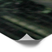 ワイルドホワイトウルフ ポスター (角)