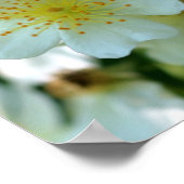 ワイルドホワイトラブリングバラフラワースクエア ポスター (角)