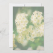 ワイルドホワイトラブリングバラフローラパーティー 招待状 (裏面)