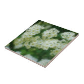 ワイルドホワイトランブルバラフラワーズ自然 タイル (側面)