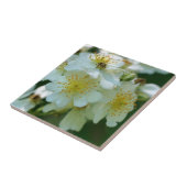 ワイルドホワイトランブルバラフラワーズ自然 タイル (側面)