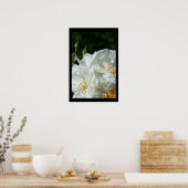 ワイルドホワイトローズ3花の写真ポスター ポスター (キッチン)