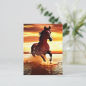 ワイルドホースがサーフを駆け抜ける ポストカード (スタンド正面)