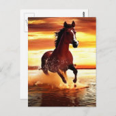 ワイルドホースがサーフを駆け抜ける ポストカード (正面/裏面)