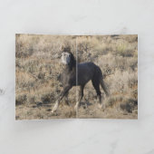 ワイルドホースのグリーティングカードに向かう カード (内部)