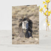 ワイルドホースのグリーティングカードに向かう カード (黄色い花)